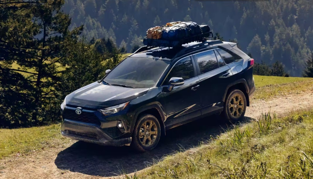 2024 Toyota RAV4 Hybrid Woodland Edition Reviews, Specs & Price Cars